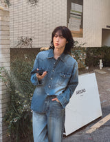 Flood cat brush western denim shirt
