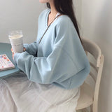 [MADE/6color] Pony, V-neck loose fit trainer