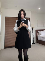 Soft Palette Panel-Cut Collar Shirt Blouse