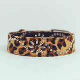nsn leopard studs belt -brown-