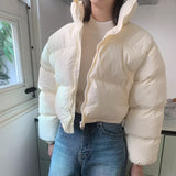 Wellon High Neck - jp