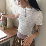 Lapit see-through ribbon half-turtleneck short-sleeved T-shirt