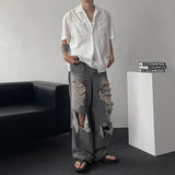 LN Lace Open Collar Short-Sleeved Shirt (2 colors)