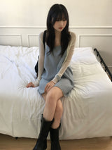 Lua see-through V-neck cardigan (5 colors)