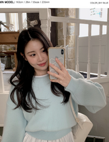 Pastel Crop Round Loose Knit (6color)