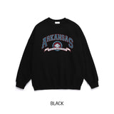 Arkansas Crack Lettering Brushed Sweatshirt