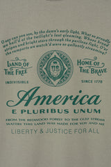 No.1352 america half T (4color)