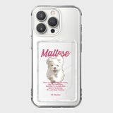 GOOREUM illustration card storage jelly hard case