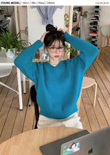 #Pure Basic V-neck Loose Fit Knit (3color)