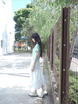 canvas skirt
