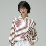 STRIPE COLLAR T-SHIRT  (Ivory)