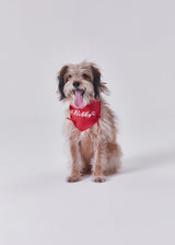 Naming merry ribbon bandana (Red)