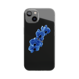 case form