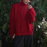 ASCLO Dell Turtle Neck Arm Warmer Knit (6color)