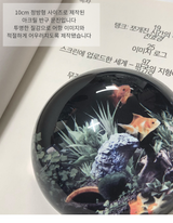 Fishbowl Dome Paperweight