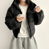 Selder Cropped Padded Jumper 