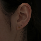 サージカルピアス