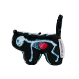 X-ray Cat, Domestic Shorthair
