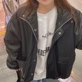 Chow Leather Mustang