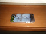 two puppies case