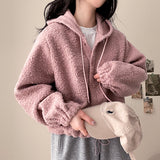 Dewin String Avant Snap Hooded Jumper