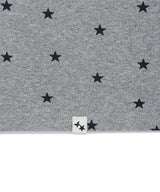 STRIPED STAR RAGLAN LS TEE(CV2GFFT561A)