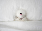 Cosymosy Ugly Bird Keyring - White