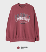 Taper Daily California Heavy Pigment Overfit Sweatshirt