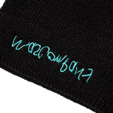 Flip logo beanie (black)