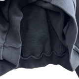 washed eagle hoodie