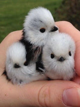 Cosymosy Baby Bird Keyring Set