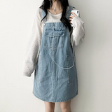 Monthly pocket suspender dress