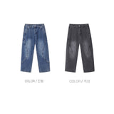 Trip Curved Denim Pants (2 Colors)