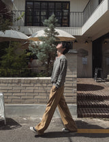Hina Stripe V-neck Knit