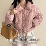 Poin Golden Short Padding 