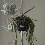 PouPouPot (Dotty Black) PUPU (M Size)