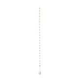 デイジーアイレットベルト (2 colors)