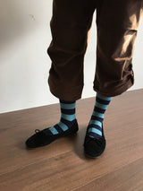 Lupin Stripe Socks (5color)