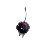 Cherry Ice Tooth Ring