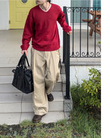 Washable Basic V-neck Knit