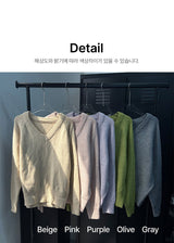 Daily soft v neck knit(5color)