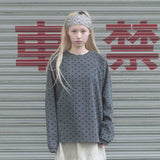 Rib Dot Raglan Tee (charcoal)