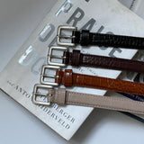 ASCLO 20 Crocker Volume Narrow Belt (4color)
