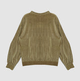 Glitter ribbed velvet top