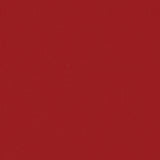 リュクスマイクロバンドゥビキニセット [rich red]
