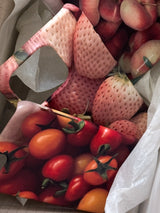 tomato case (Matt hard)