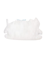 Cat book cover _ salt