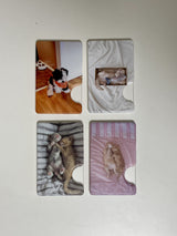 [spotty puppy magsafe cardslot]