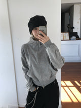 Labo High Neck Hooded Zip-Up (7c)