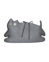 Cat book cover _ dust